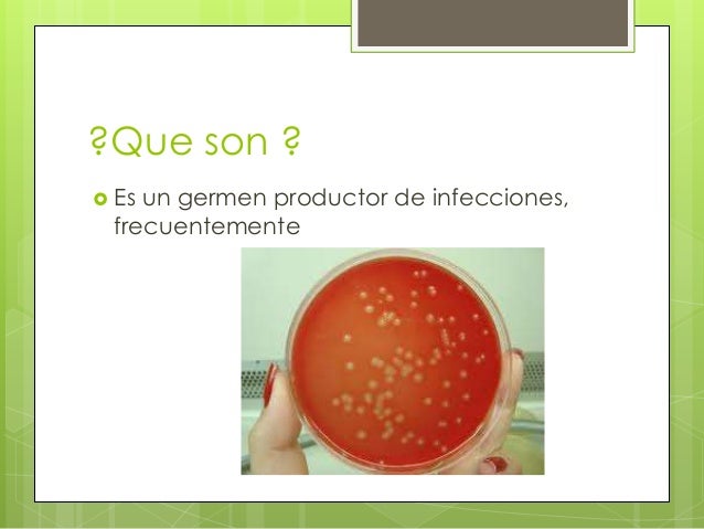 streptococcus alfa hemolitico